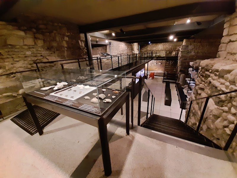 Site archéologique de la Cathédrale Saint-Pierre de Genève, Geneva