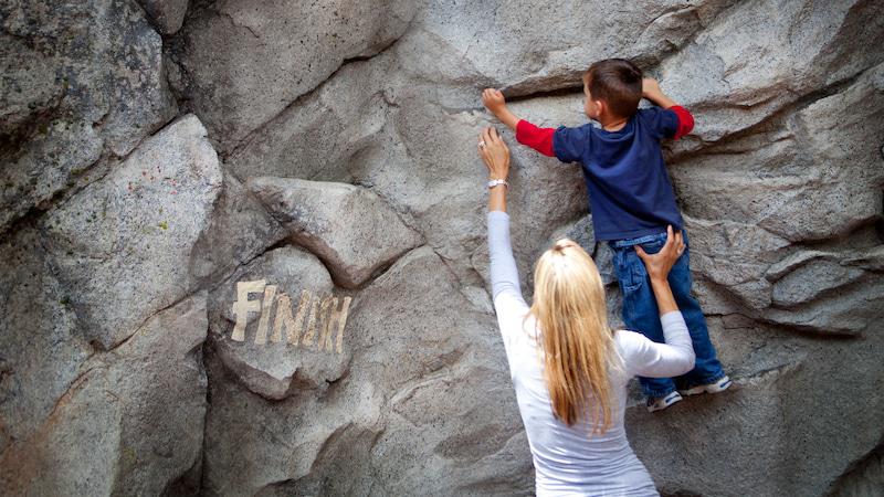 Redwood Creek Challenge Trail, Anaheim