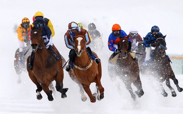 Rennverein St. Moritz - White Turf, St. Moritz