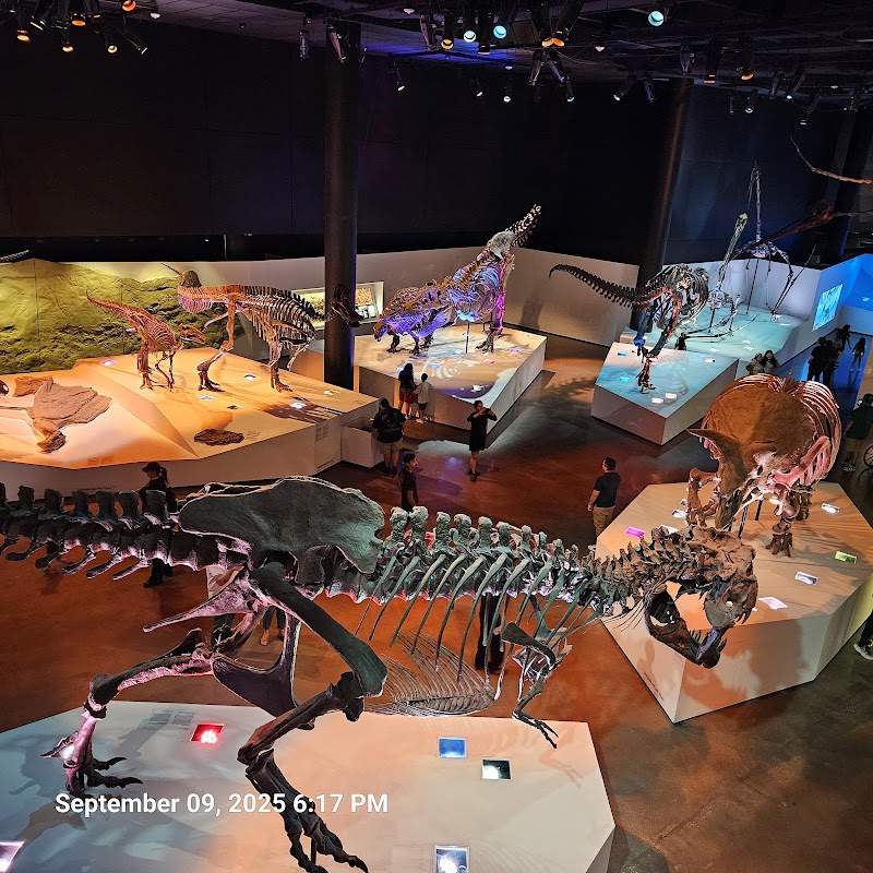 Houston Museum of Natural Science, Houston