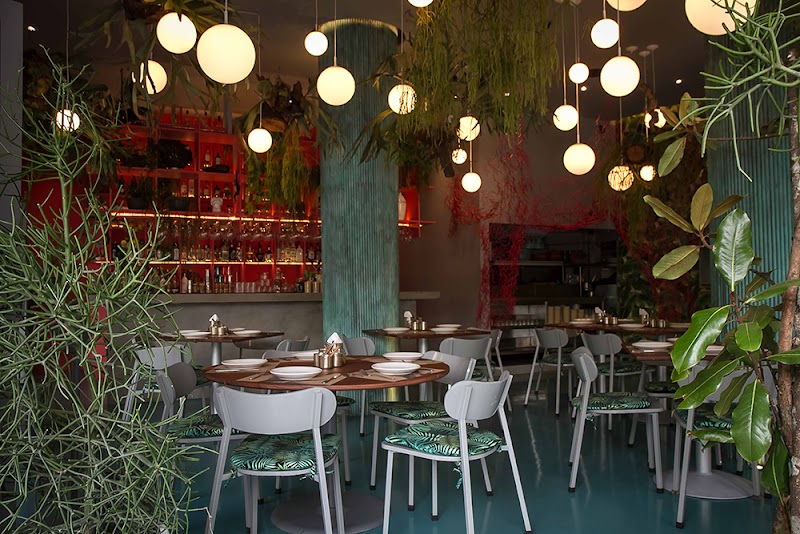 Bellopuerto, Mexico City