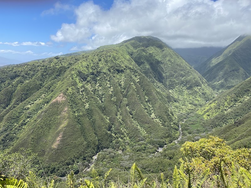Waihee Ridge Trail, Maui