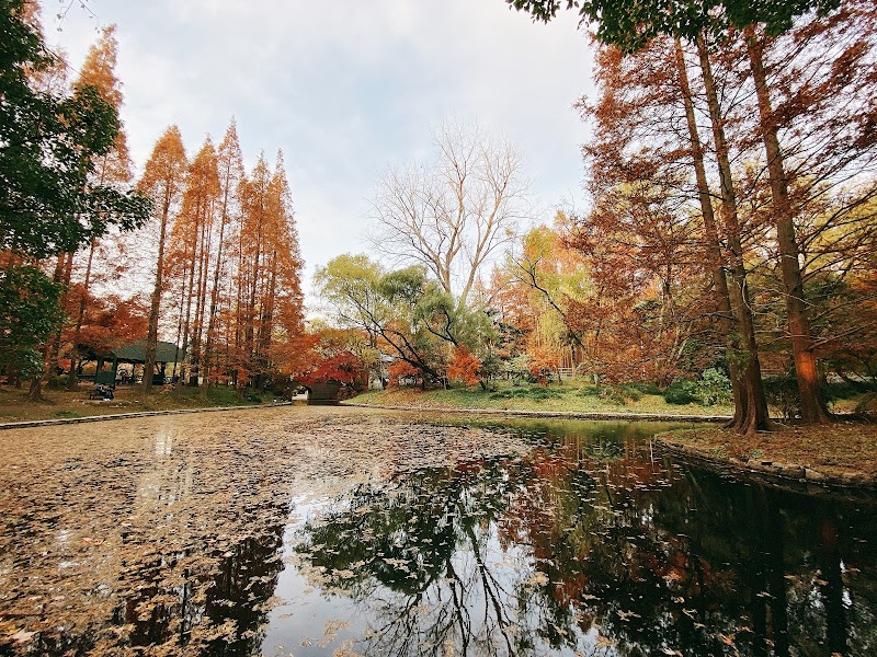 Gongqing Forest Park, Shanghai