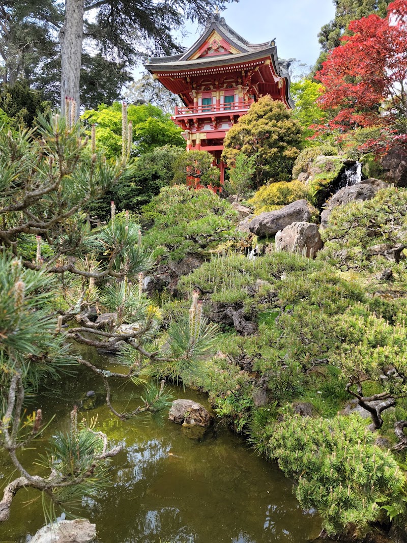 Japanese Tea Garden, San Francisco