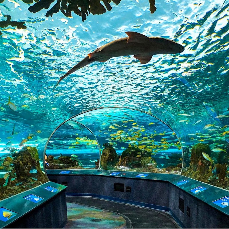 Ripley's Aquarium of Canada, Toronto