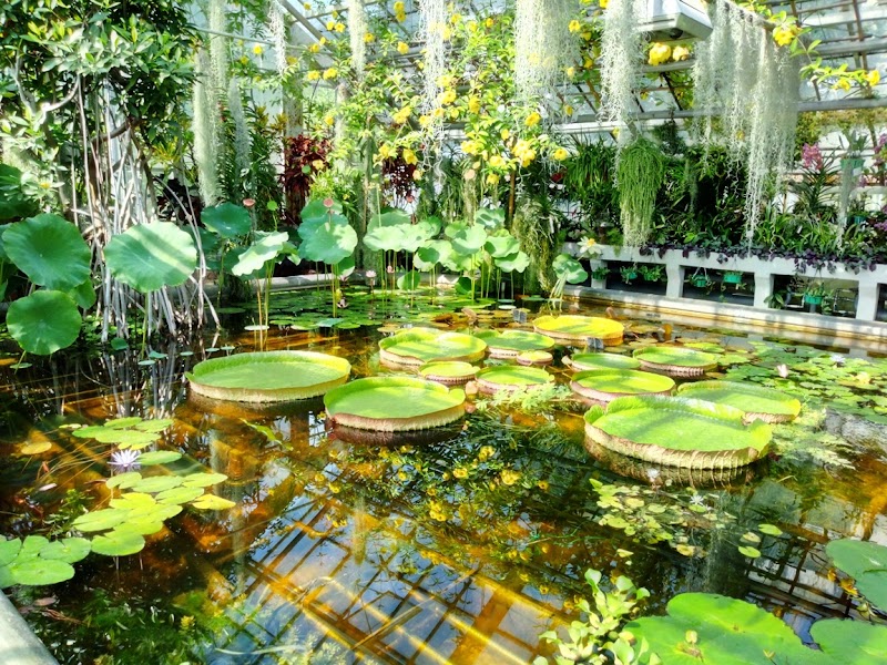 Botanical Garden of the Jagiellonian University, Kraków
