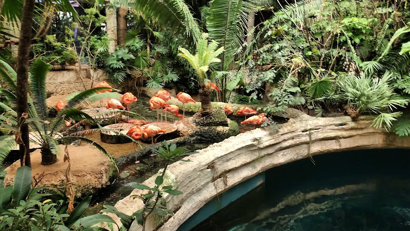 The Dallas World Aquarium, Dallas