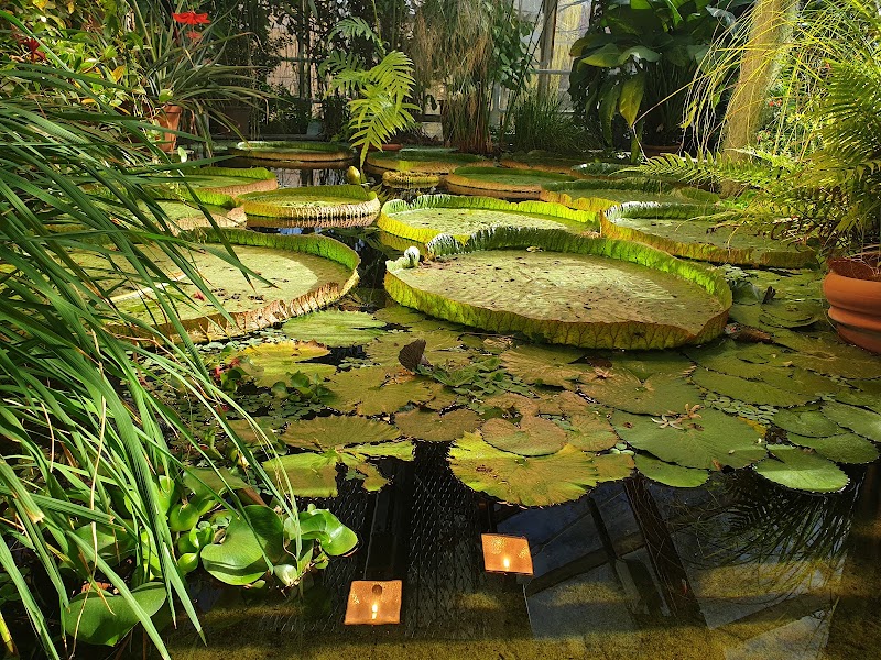 Botanical Garden, Oslo