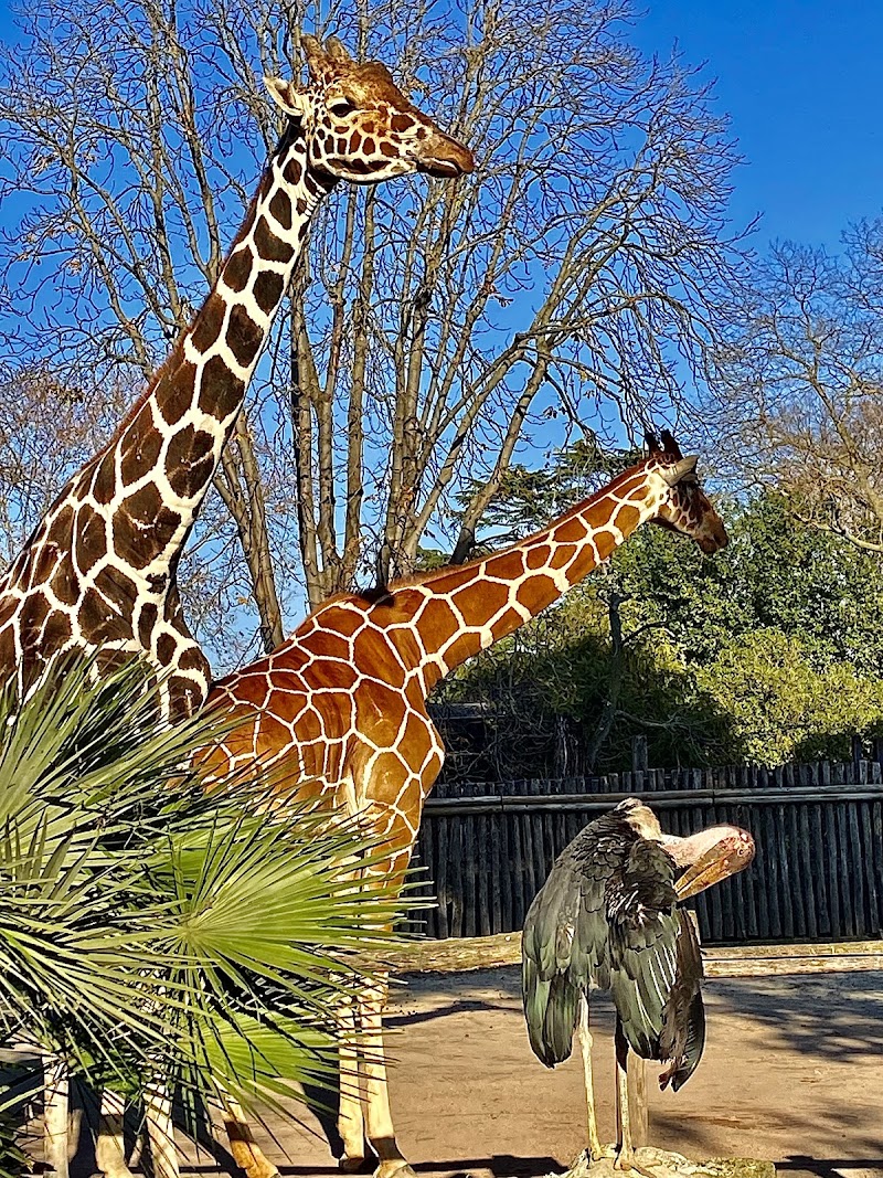 Bioparco di Roma, Rome