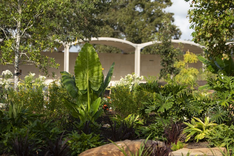 Houston Botanic Garden, Houston