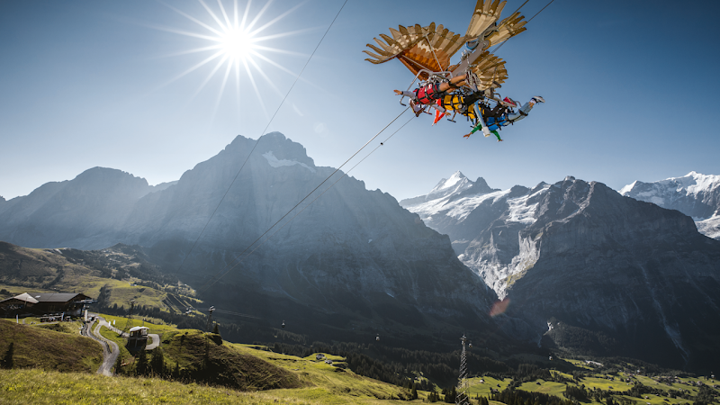 First Glider, Grindelwald