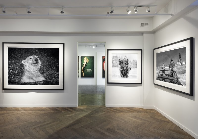 Casterline|Goodman Gallery, Aspen