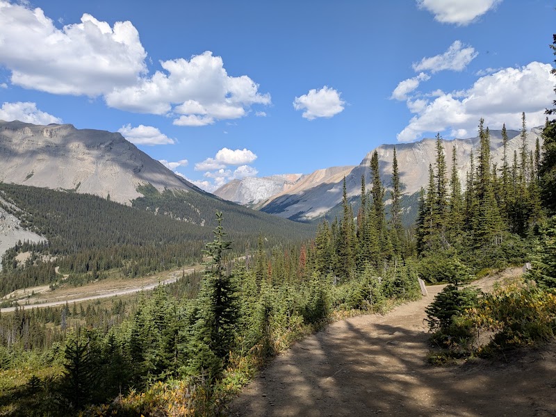 Parker Ridge Trail, Banff
