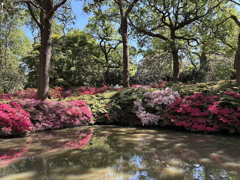 Richmond Park, London