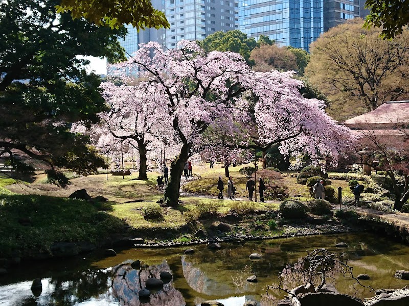 Koishikawa Korakuen Gardens, Tokyo