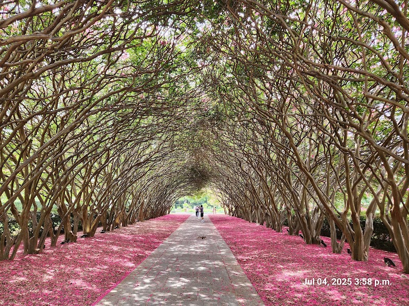 The Dallas Arboretum and Botanical Garden, Dallas