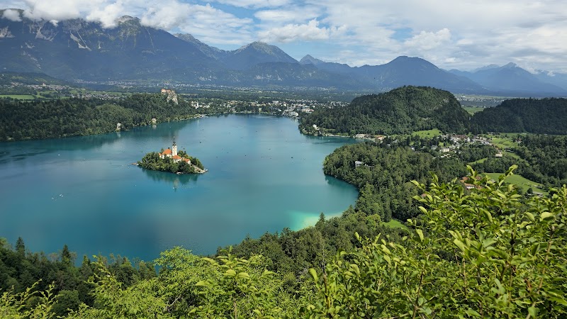 Mala Osojnica, Bled