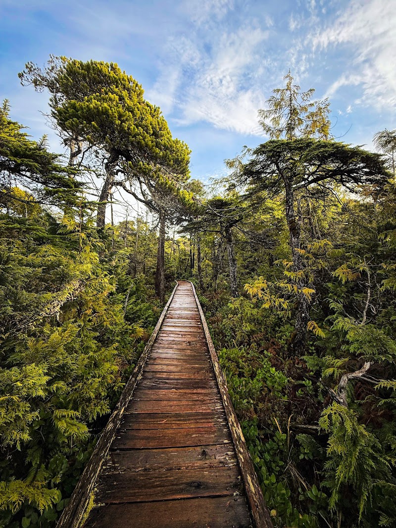 Pacific Rim National Park Reserve, Tofino