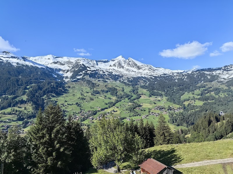 Excellent Photo Point, Grindelwald