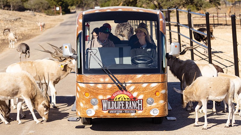 Natural Bridge Wildlife Ranch, San Antonio