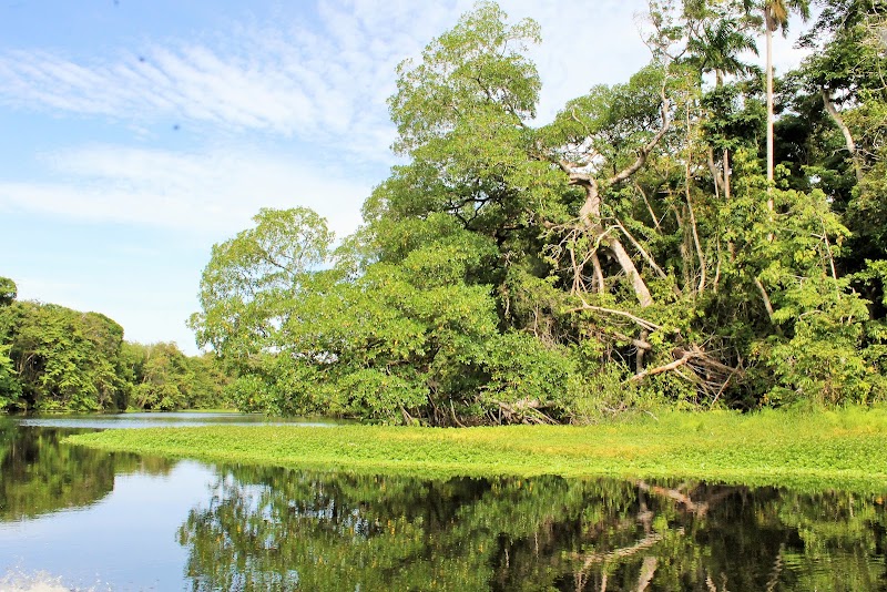 Cuero Salado. Refugio Vida Silvestre, La Ceiba