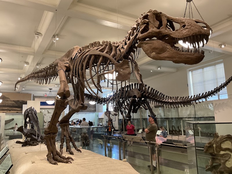 American Museum of Natural History, New York City