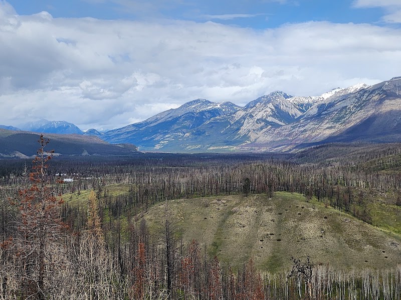 Old Fort Point Loop Trail, Jasper