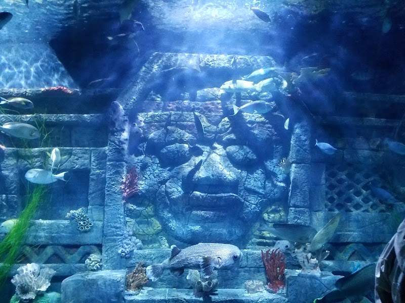 Downtown Aquarium, Houston