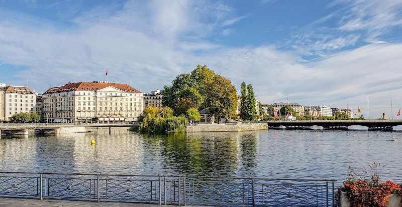 Île Rousseau, Geneva