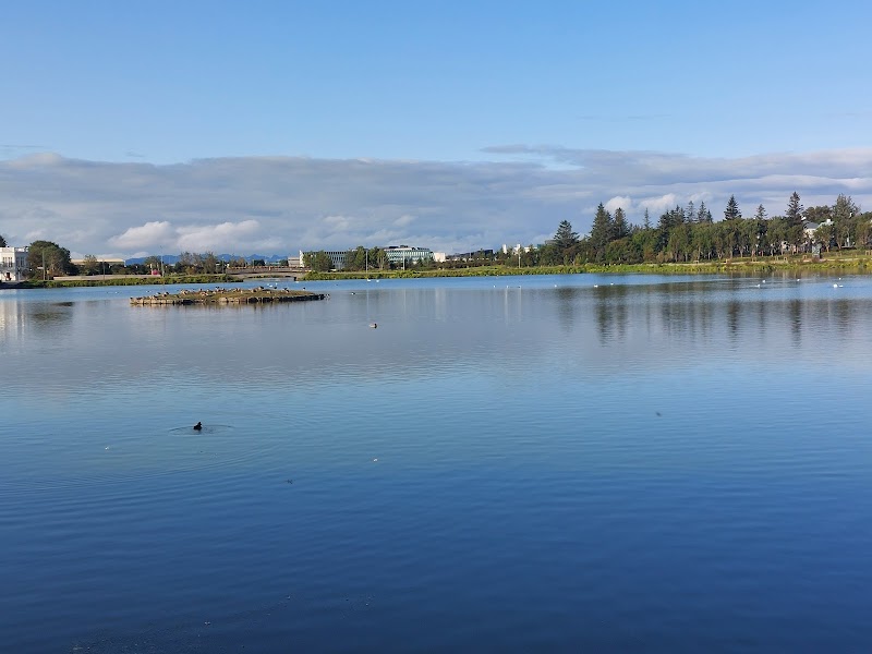 Tjörnin Rocks, Reykjavík