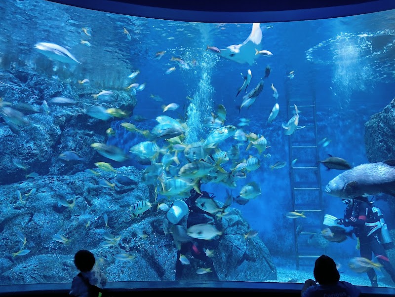 SEA LIFE Bangkok Ocean World, Bangkok