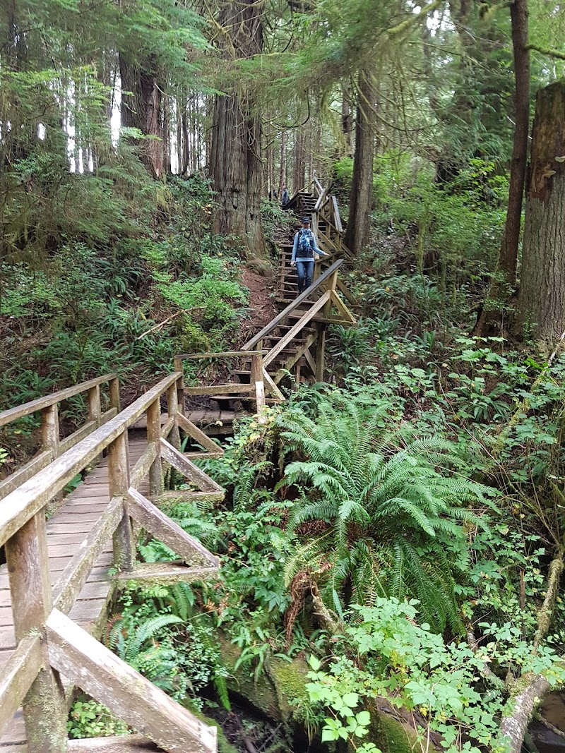 Schooner Cove, Tofino
