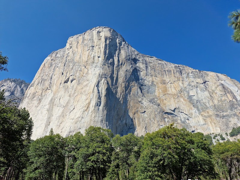 El Capitan Meadow, Yosemite National Park