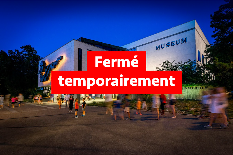 Muséum d'Histoire Naturelle, Geneva