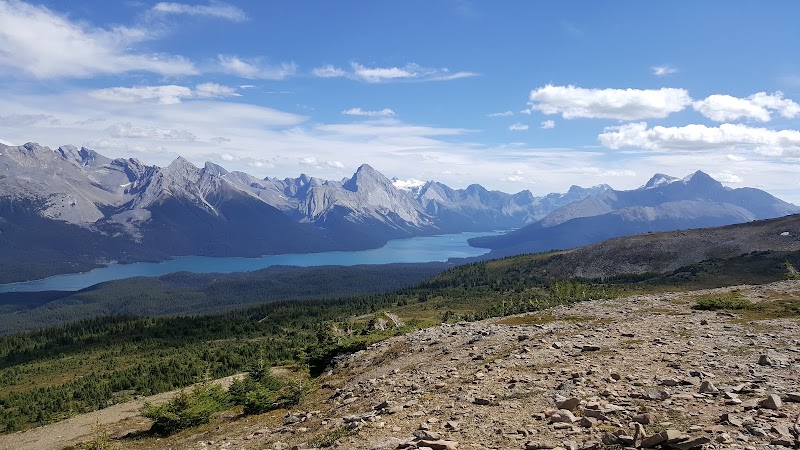 Bald Hills, Jasper