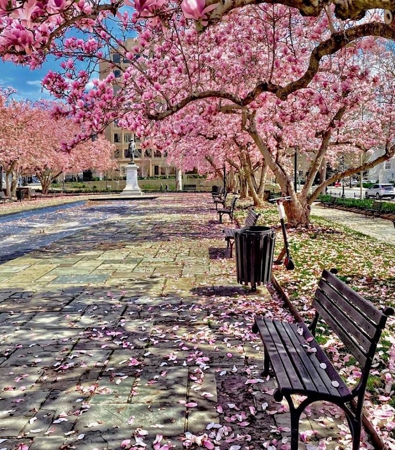 Rawlins Park, Washington