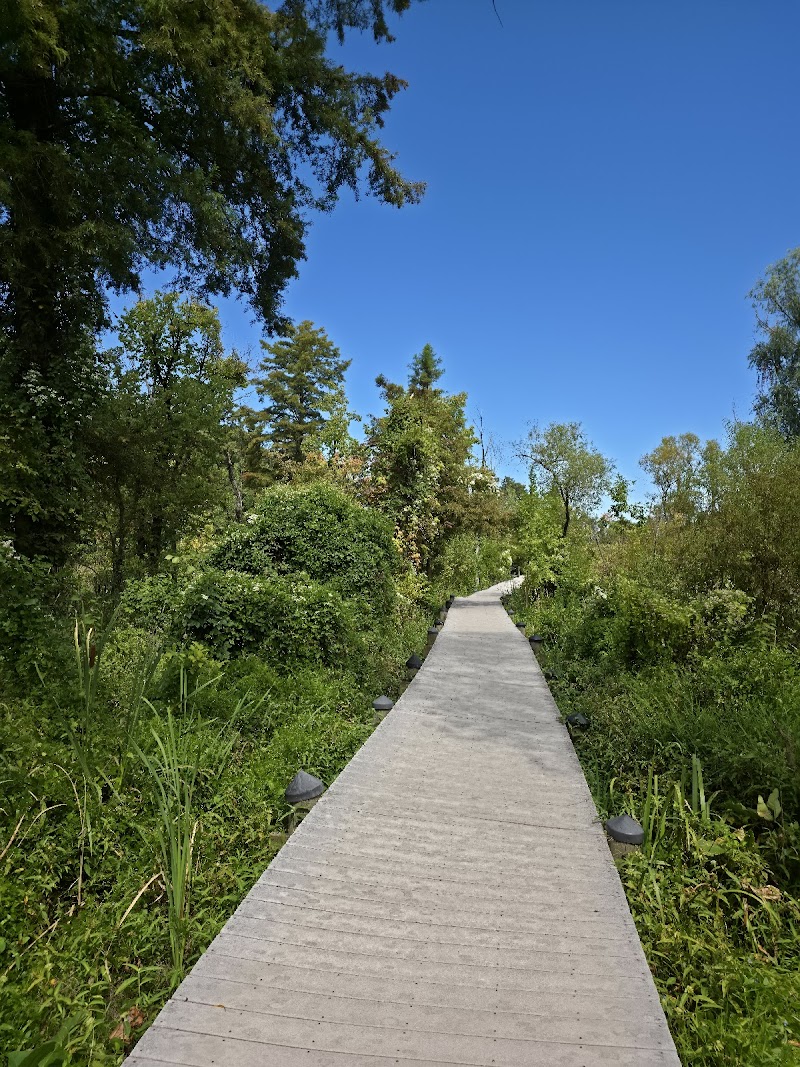 Theodore Roosevelt Island, Washington