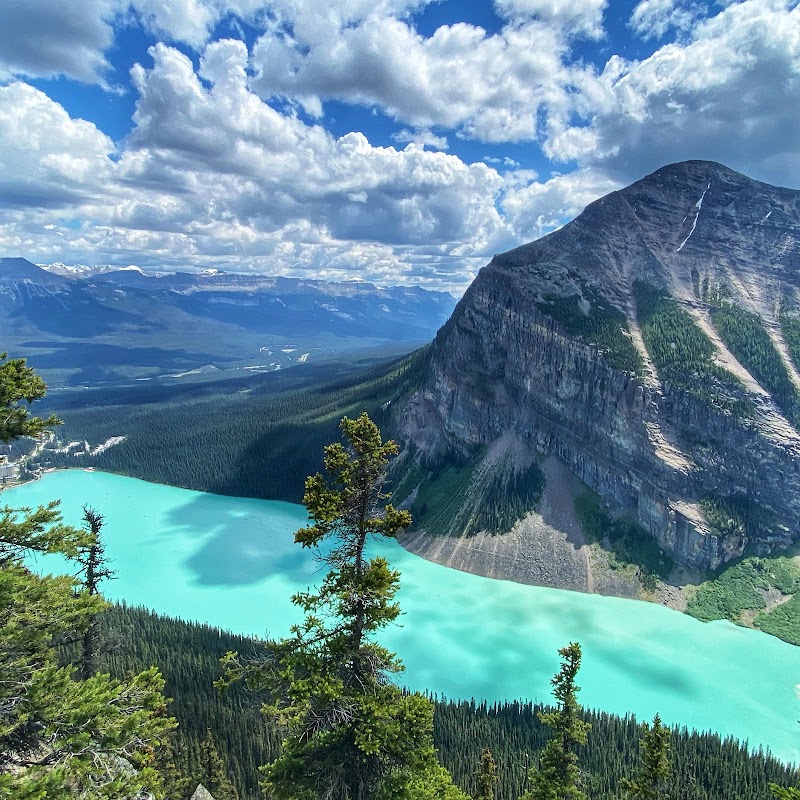 The Beehive, Banff