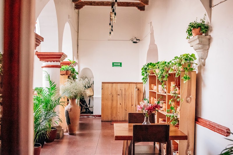 Levadura de Olla Restaurante, Oaxaca