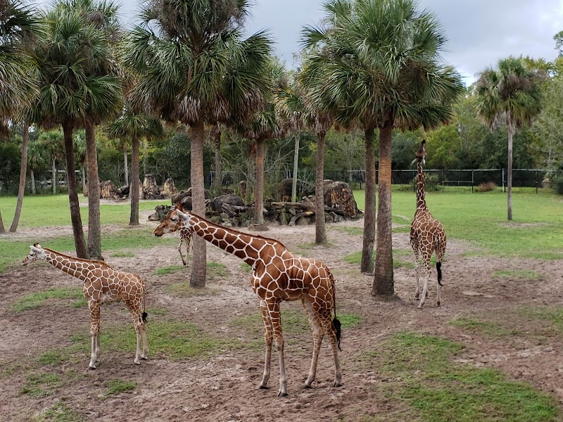 Jacksonville Zoo & Gardens, Jacksonville
