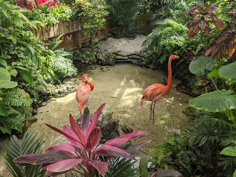 The Key West Butterfly and Nature Conservatory, Key West