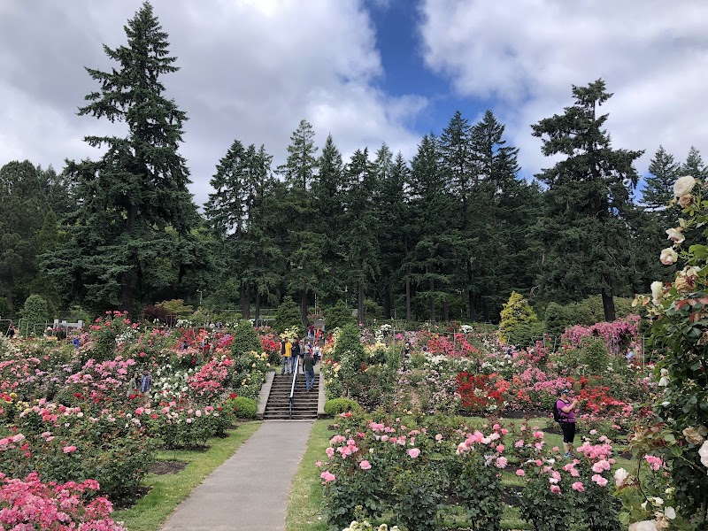 International Rose Test Garden, Portland