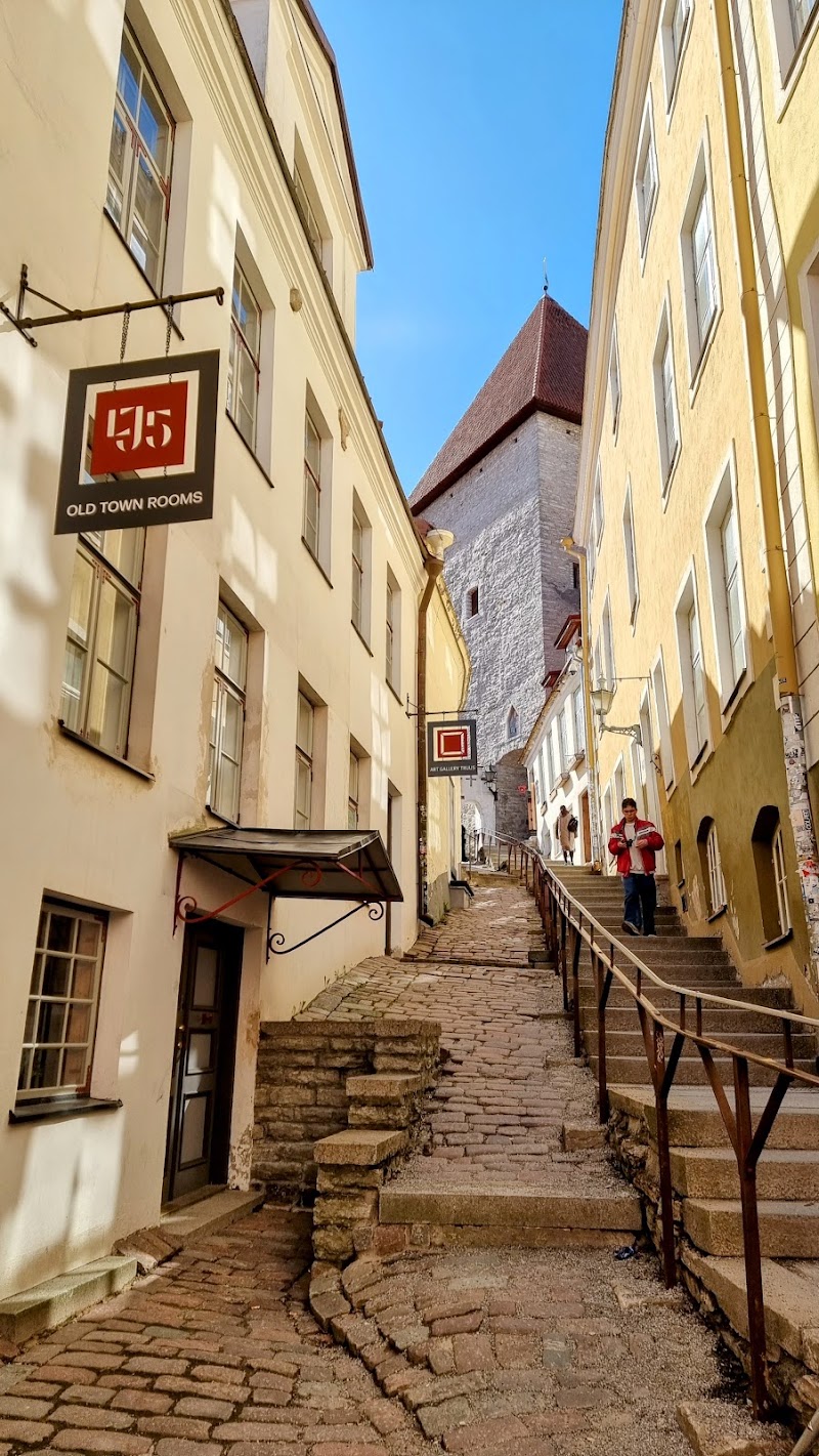 Toompea Hill, Tallinn
