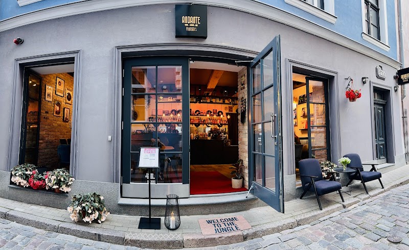 Andante | Vinyl Bar Riga, Riga