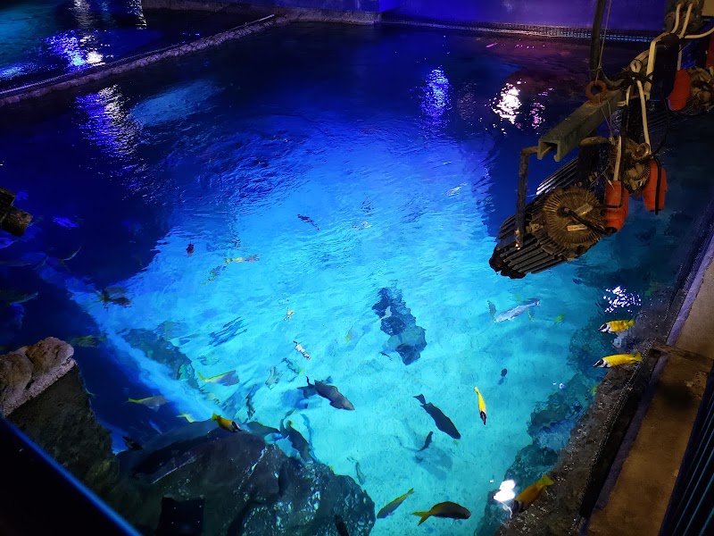 SEA LIFE Orlando Aquarium, Orlando
