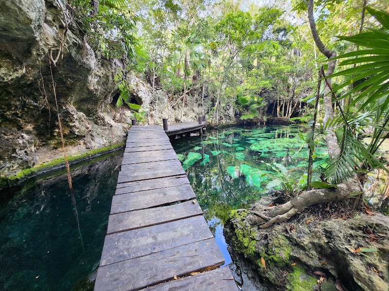 Cenote Minotauro, Playa del Carmen