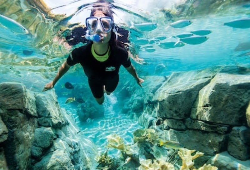 Discovery Cove, Orlando