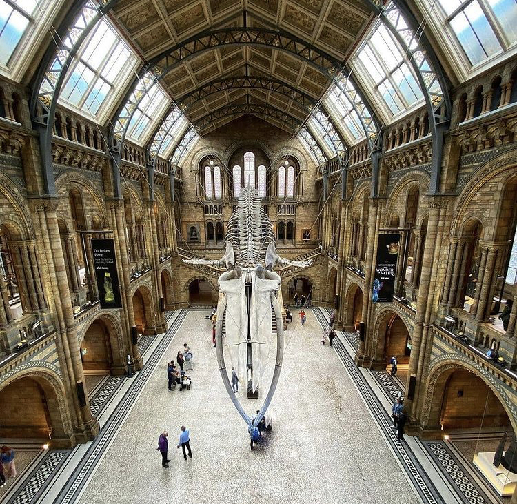 Natural History Museum, London
