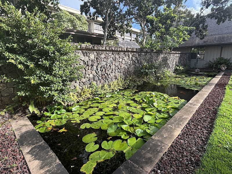 John Young Museum of Art, Honolulu