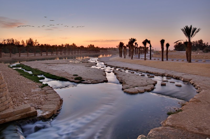Wadi Hanifah, Riyadh